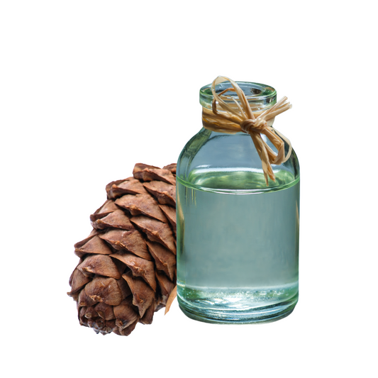 Turpentine Oil